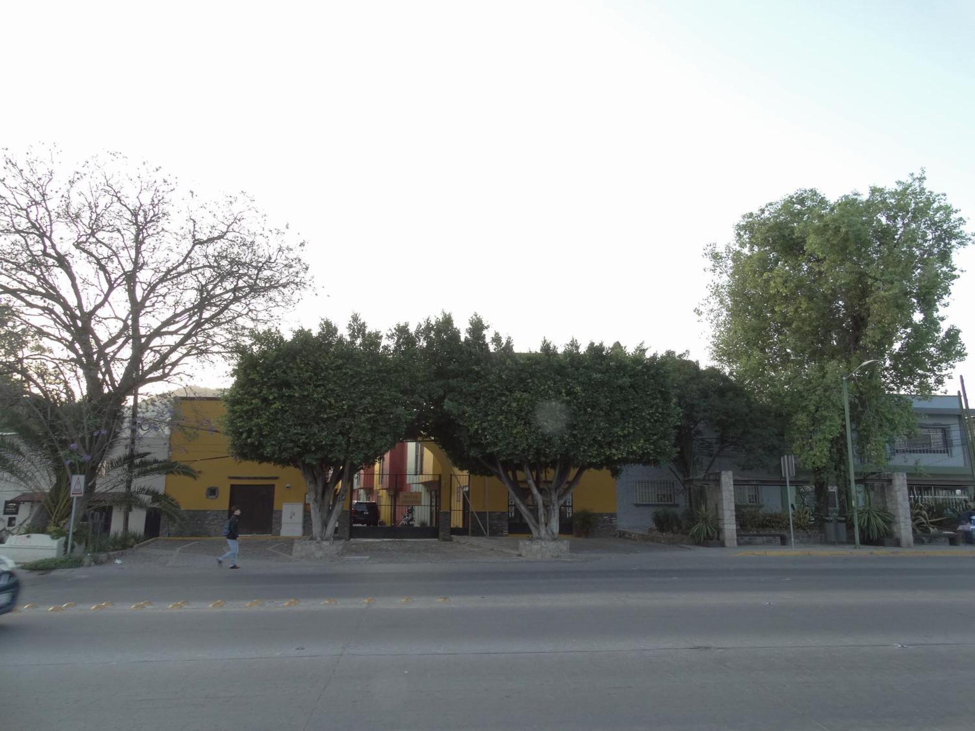 Hotel Camino De Allende Альенде Экстерьер фото